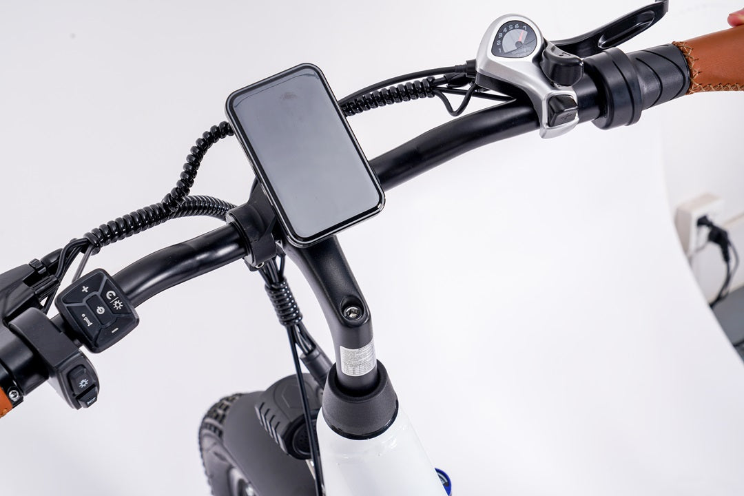 LCD Display for Electric Bikes