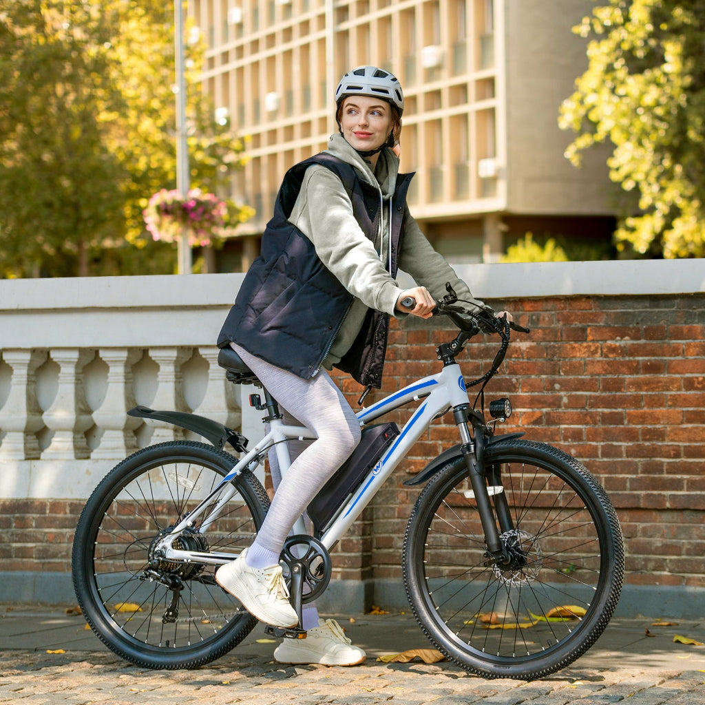Best Value C INVERTER ARIES 27.5-inch E-Bike - Urban Commuter and Mountain Rider's Choice