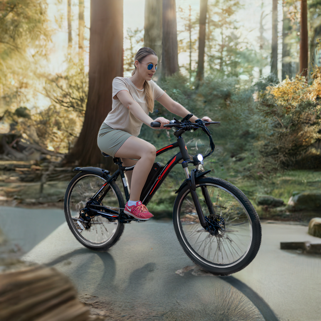 Unlock the Best Value: Discover the Affordable ARIES 27.5" E-Bike for Urban and Mountain Adventures - Limited Time Offer!